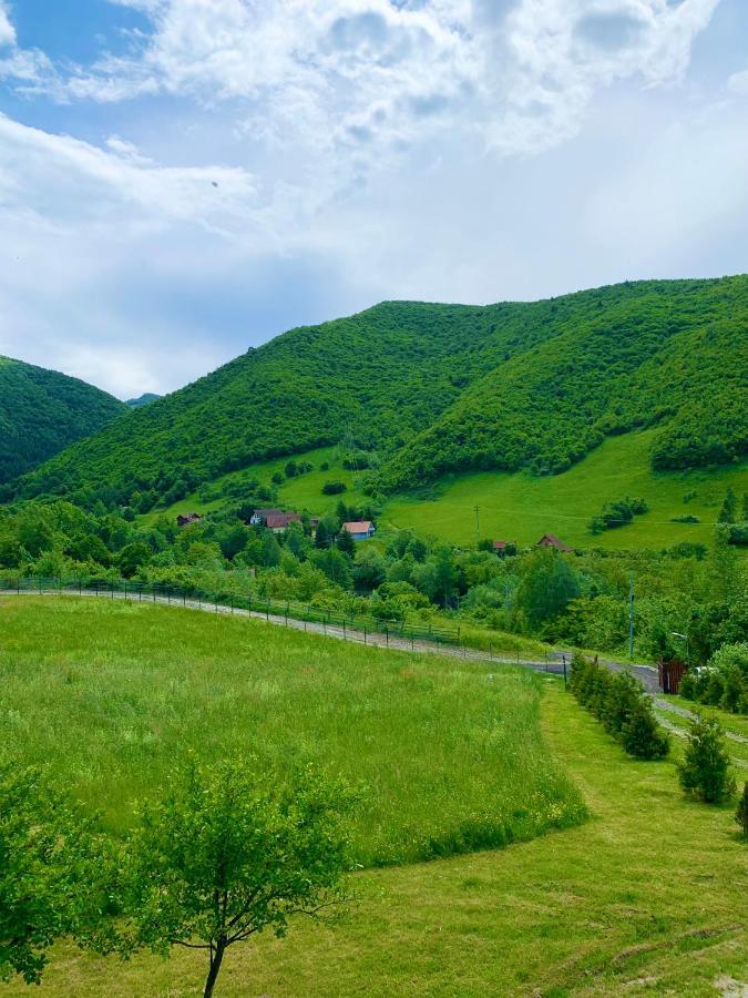 Rustic Cottage Nagyszeben Kültér fotó